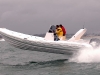 Stingher 800 gt