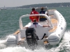 Stingher 800 gt